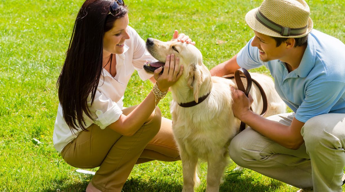 Do Dogs Get Anxious?